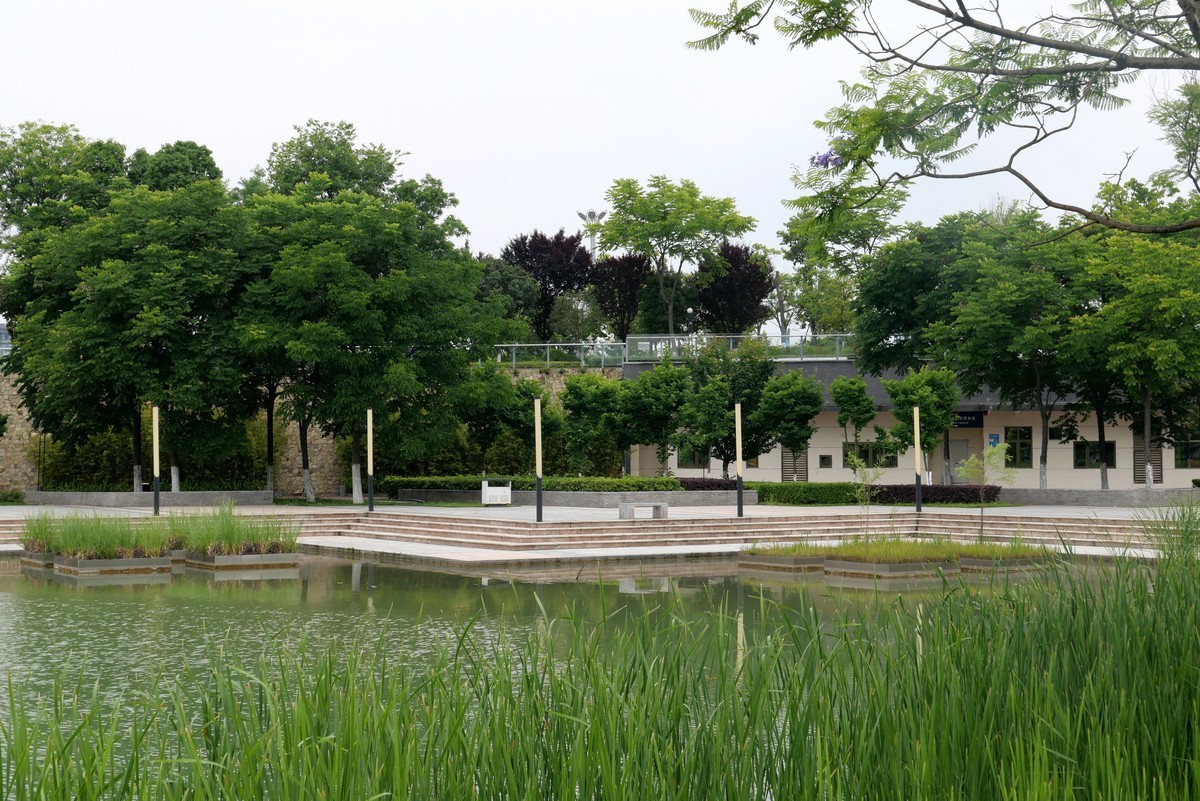 中午又来看看心念念的东湖公园！景色又不一样啦！