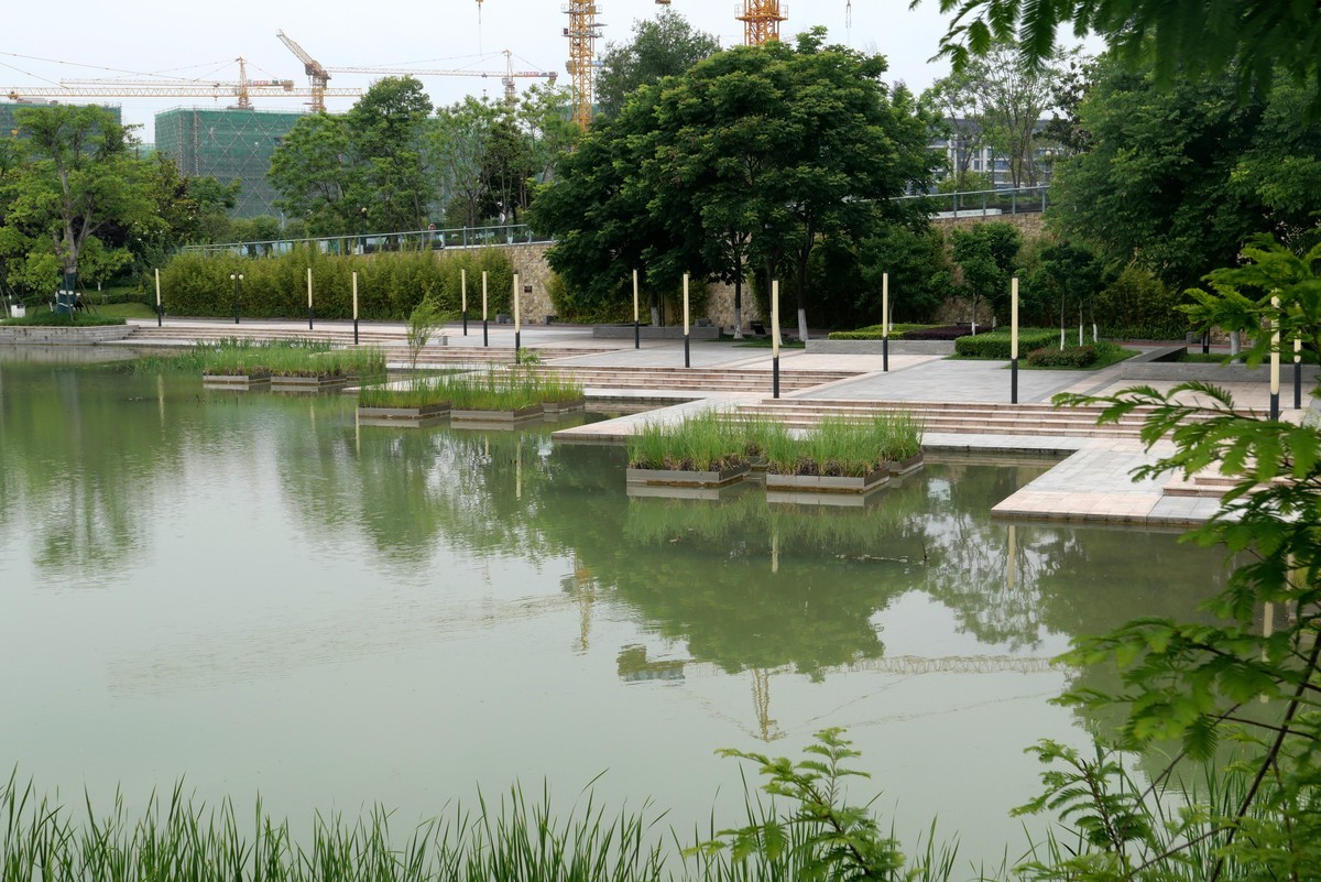 中午又来看看心念念的东湖公园！景色又不一样啦！