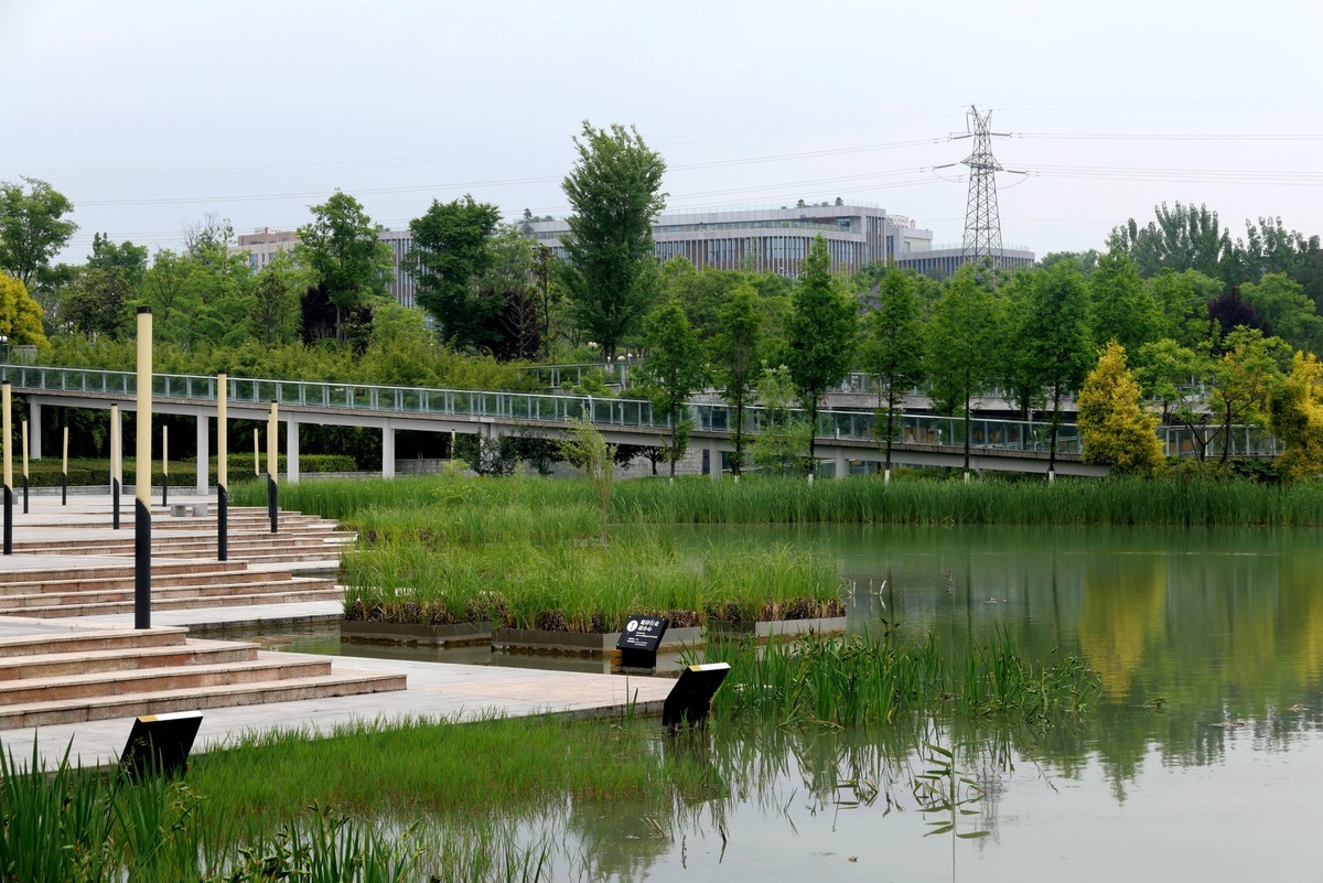 中午又來看看心念唸的東湖公園景色又不一樣啦