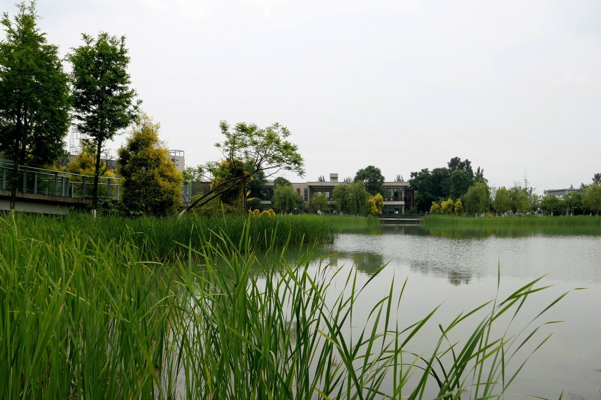 中午又来看看心念念的东湖公园！景色又不一样啦！