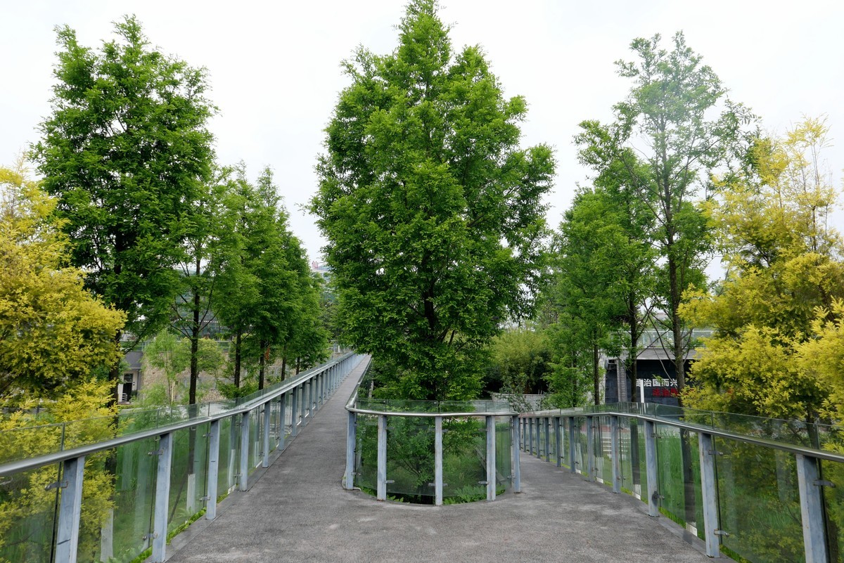 中午又来看看心念念的东湖公园！景色又不一样啦！