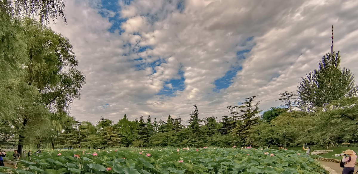 手机随拍20220723《117》