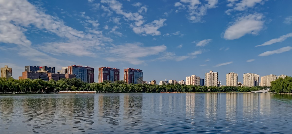 手机随拍20220723《117》