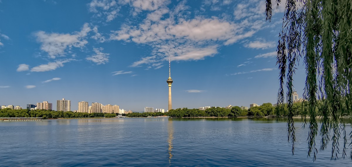 手机随拍20220723《117》