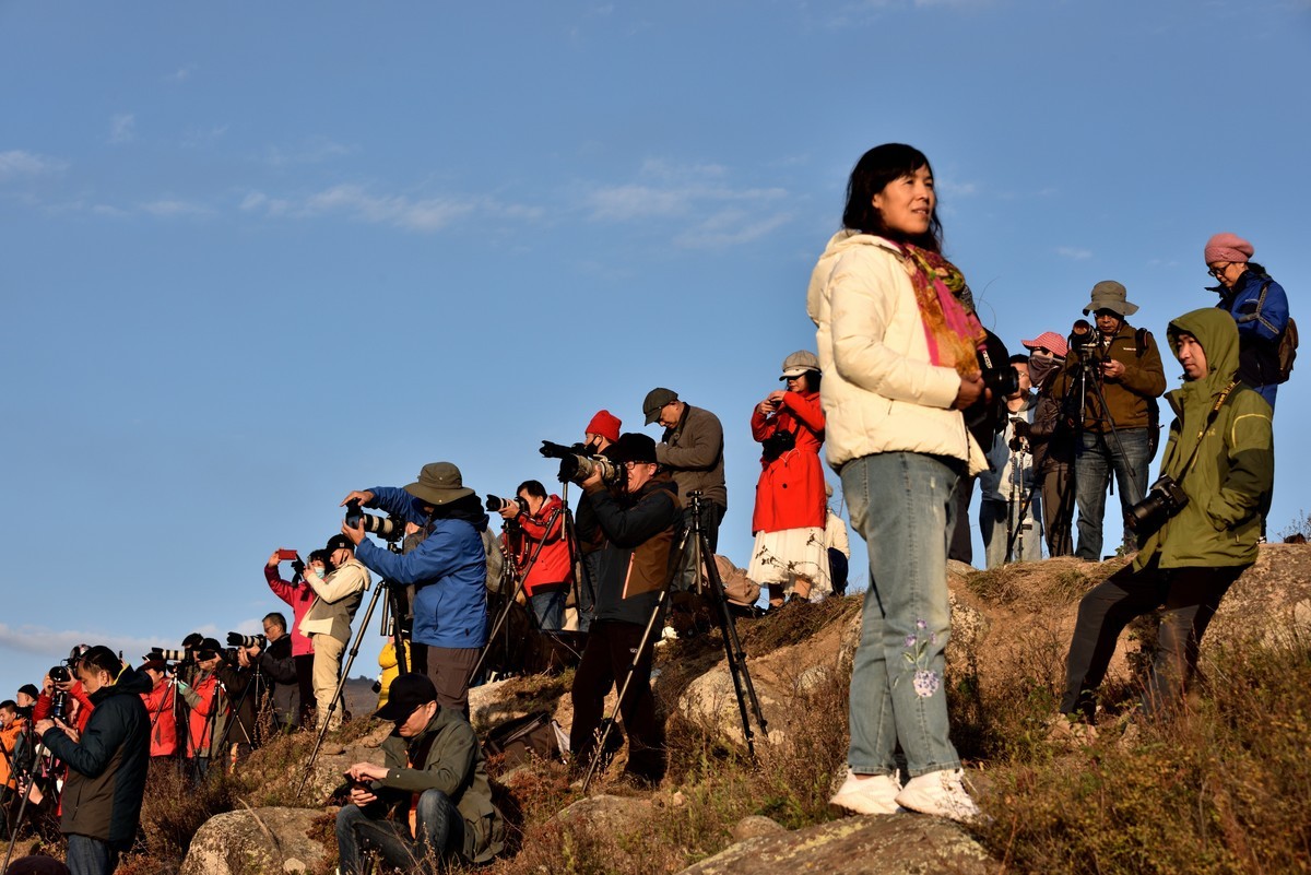 初秋北疆行——阳光洒在禾木村【6】