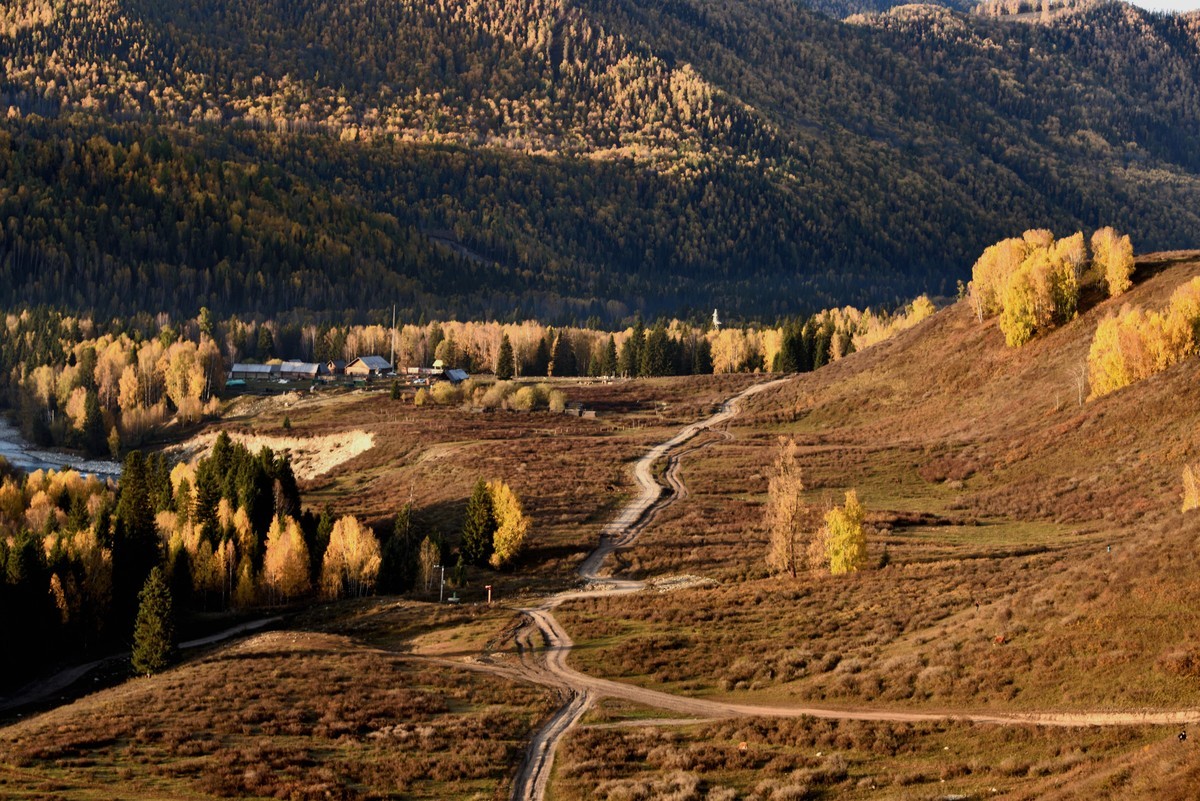 初秋北疆行——阳光洒在禾木村【6】