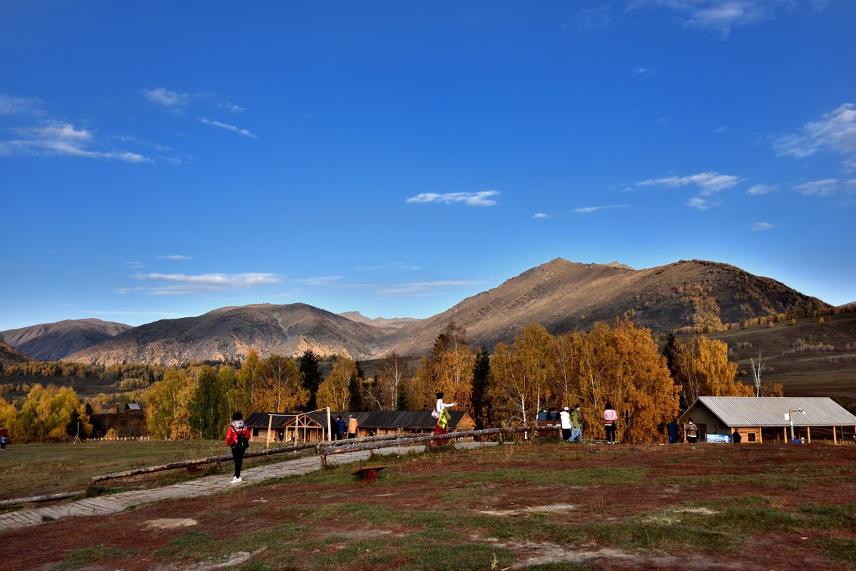 初秋北疆行——阳光洒在禾木村【6】