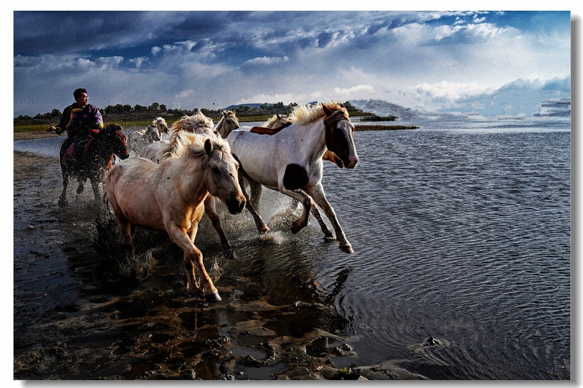 尼康Z8坝上草原试机