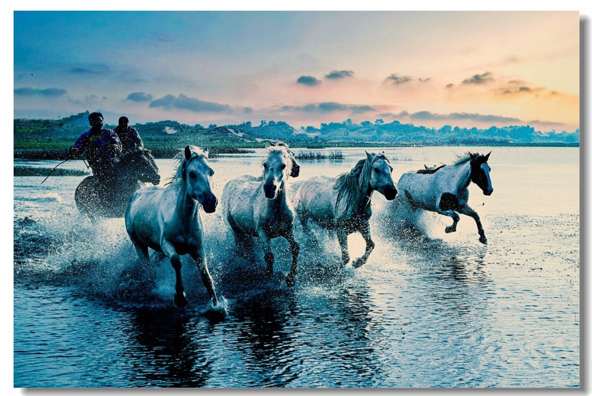 尼康Z8坝上草原试机