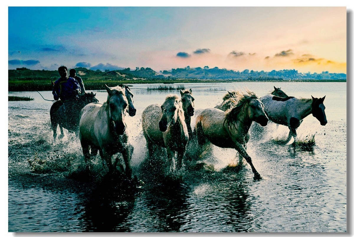 尼康Z8坝上草原试机