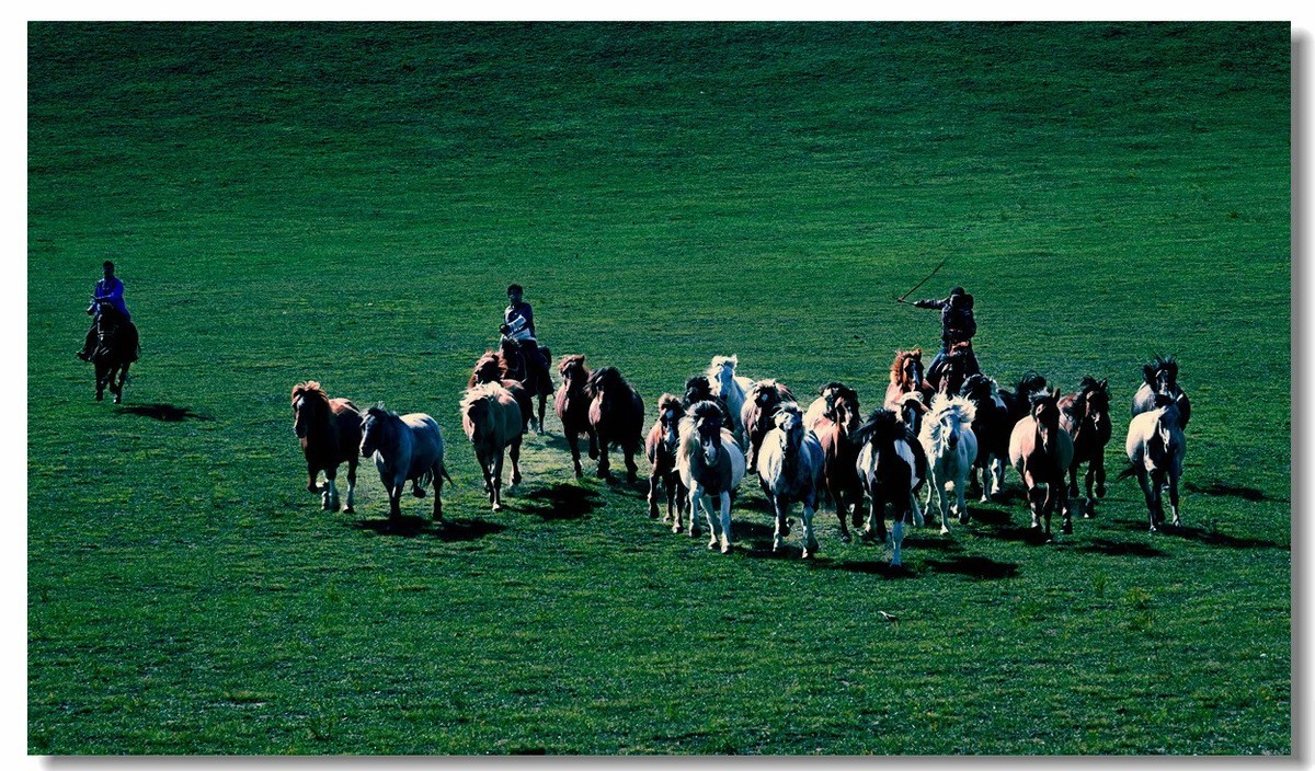 尼康Z8坝上草原试机