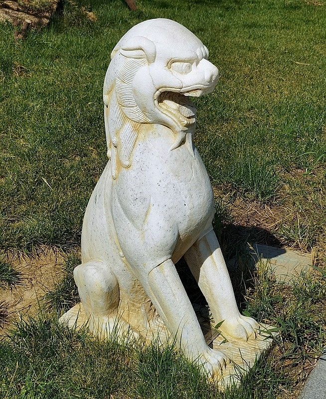 《不老松：纪实摄影》大美沧州系列報道：〔12〕百狮园！石狮雄姿各异，历久沧桑！