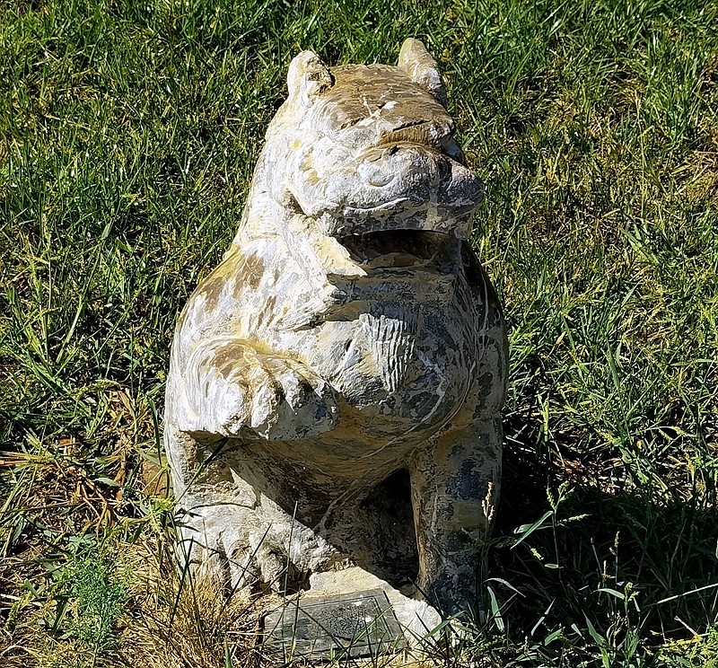 《不老松：纪实摄影》大美沧州系列報道：〔12〕百狮园！石狮雄姿各异，历久沧桑！