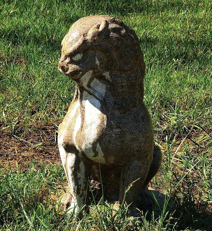 《不老松：纪实摄影》大美沧州系列報道：〔12〕百狮园！石狮雄姿各异，历久沧桑！