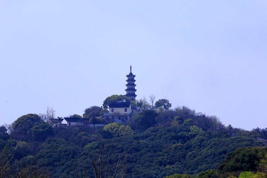 樱花季时百花节