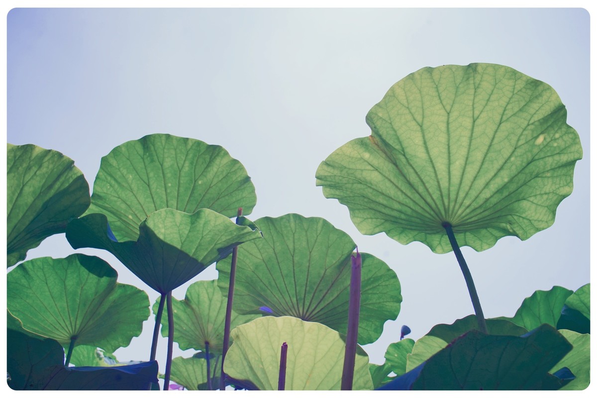 尝试不一样的角度