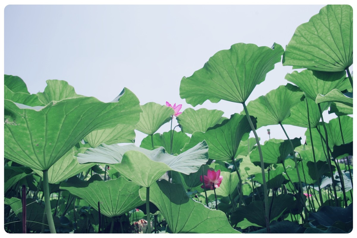 尝试不一样的角度