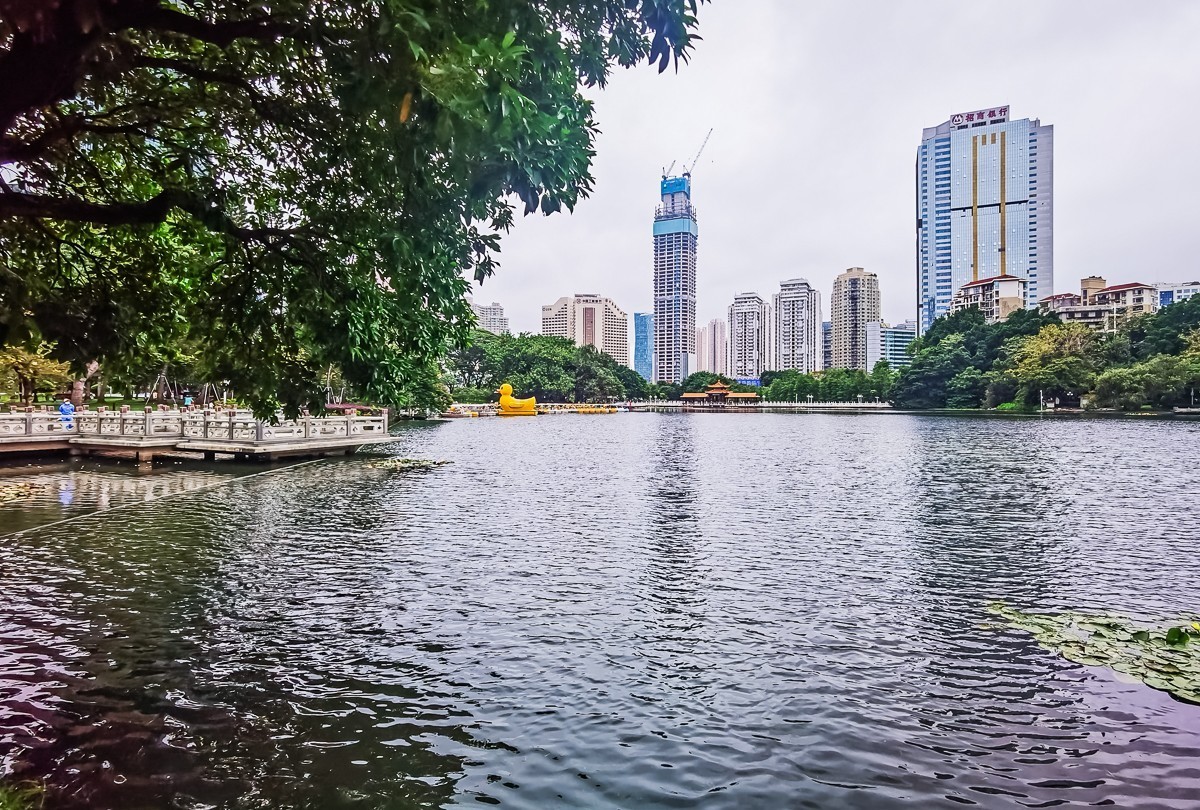 深圳荔枝公园掠影
