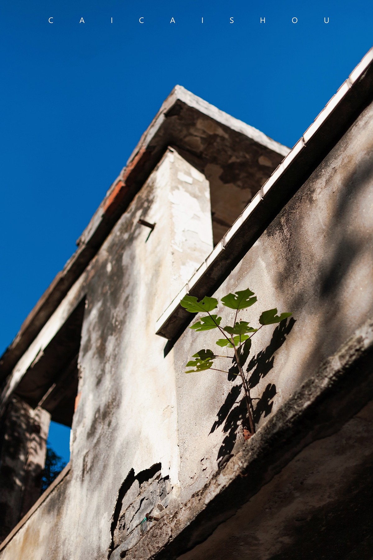 【菜々手摄影】废墟~消失的金家庄