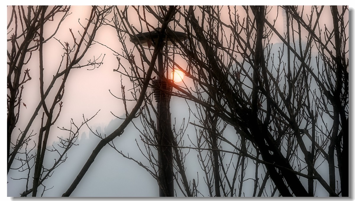 我家小朋友新年习作公园拍鸟