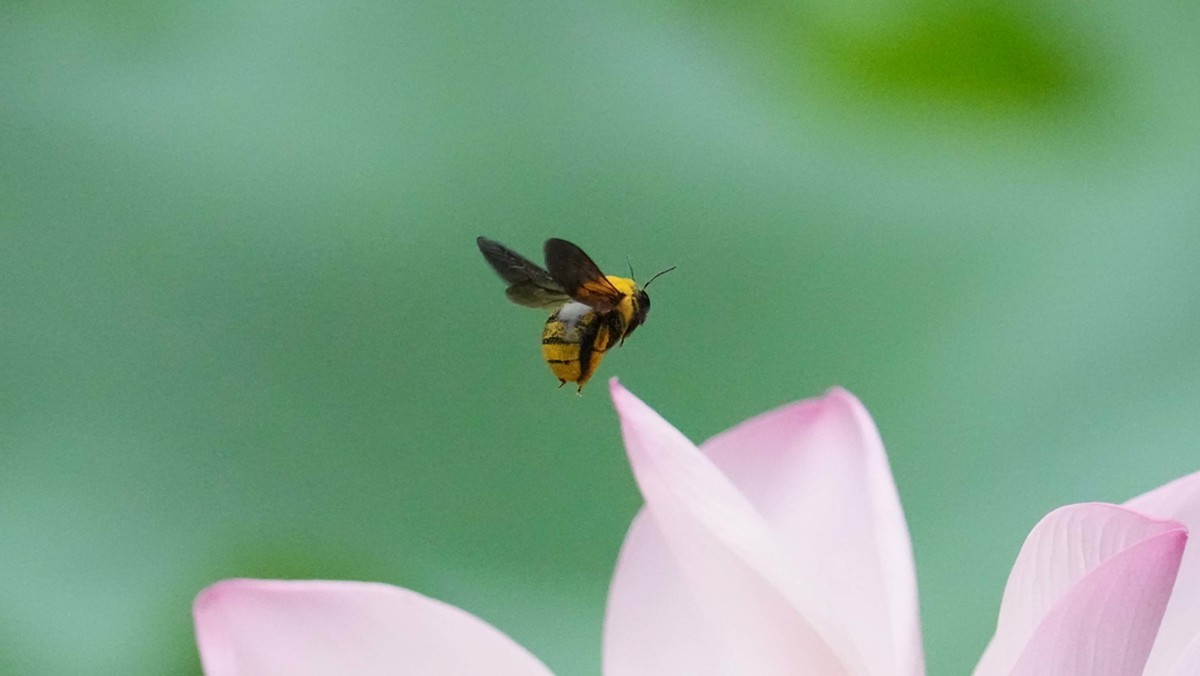 看看索尼ILCE-1 在阴暗的环境里抓拍的影像