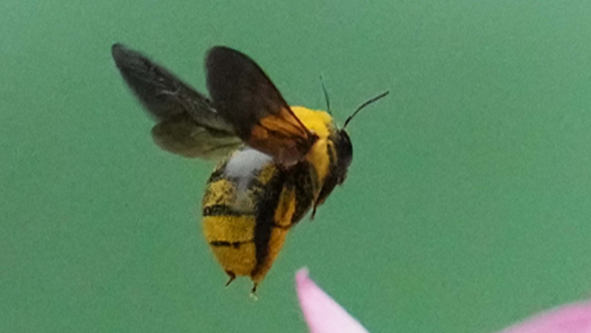 看看索尼ILCE-1 在阴暗的环境里抓拍的影像