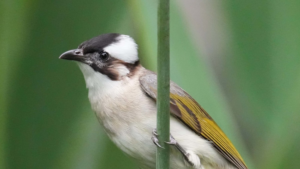 看看索尼ILCE-1 在阴暗的环境里抓拍的影像