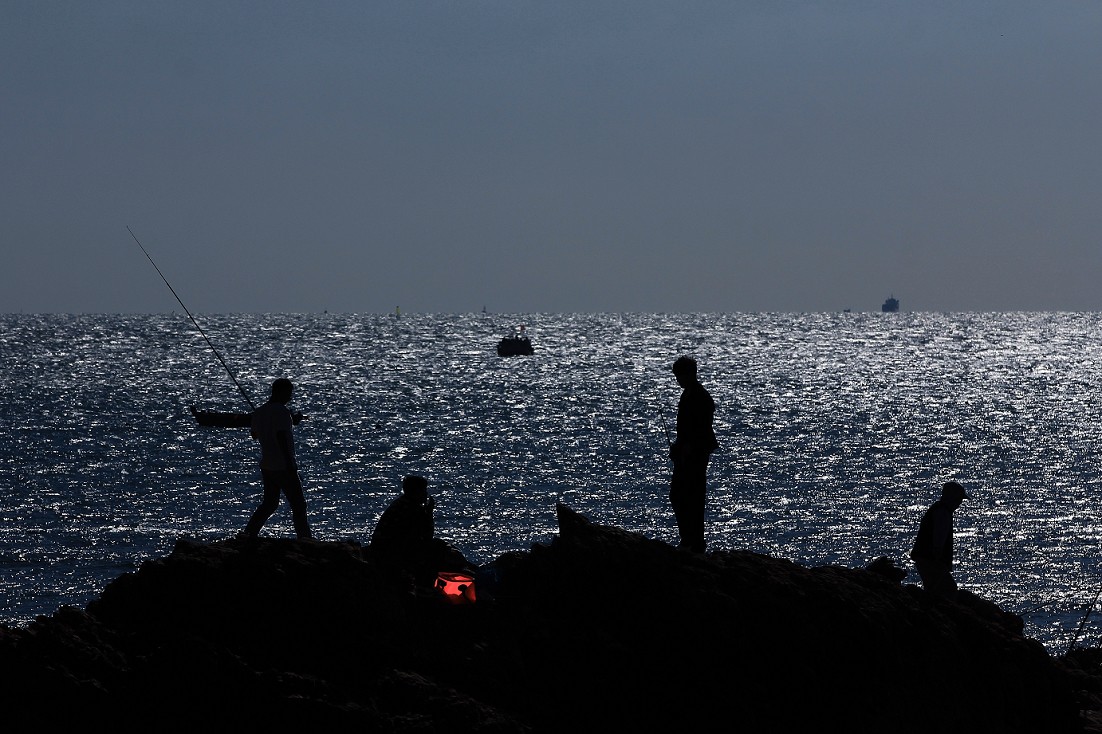 技术讨论帖《别把前妻（前期）忘了！她是提升画面效果的有效办法》尤其是拍树叶花草