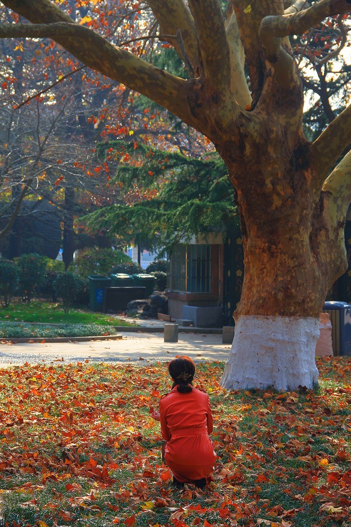 技术讨论帖《别把前妻（前期）忘了！她是提升画面效果的有效办法》尤其是拍树叶花草