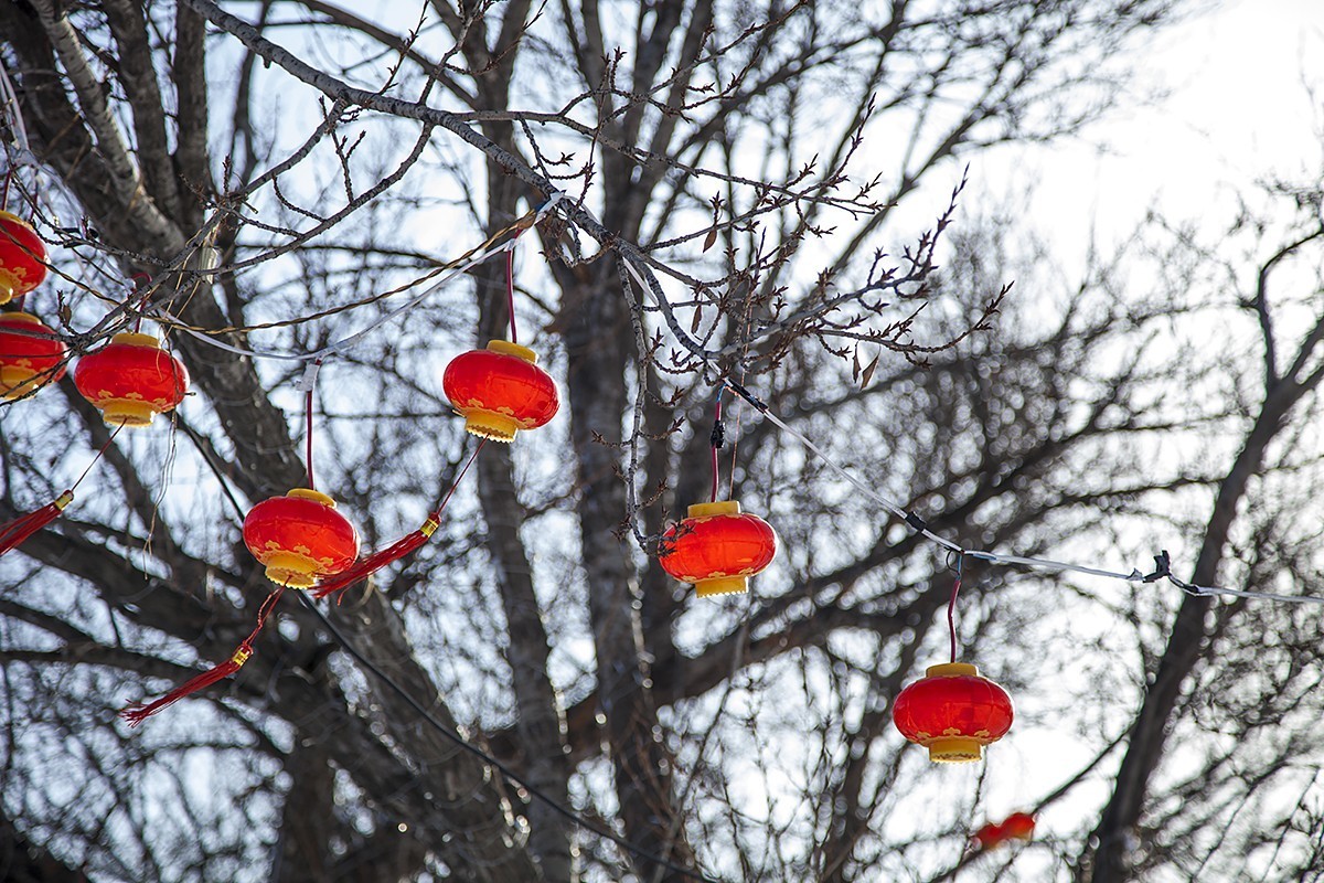 瑞雪迎春闹元宵,雪打灯笼添美意！
