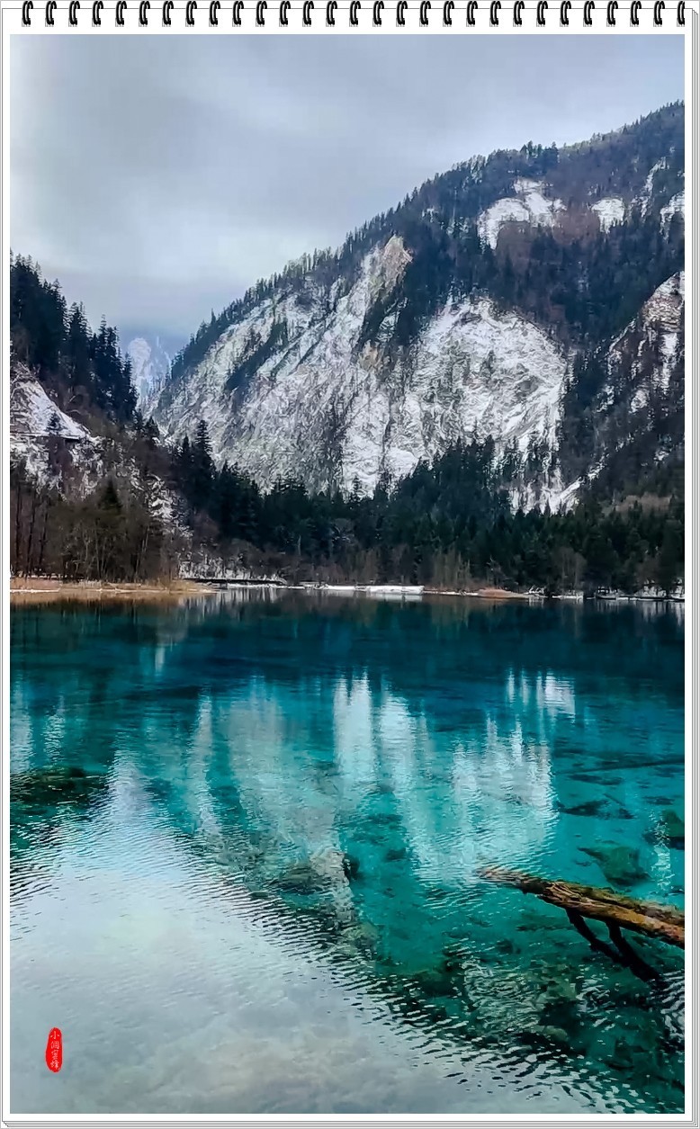 2023年九寨沟抓拍集锦-102