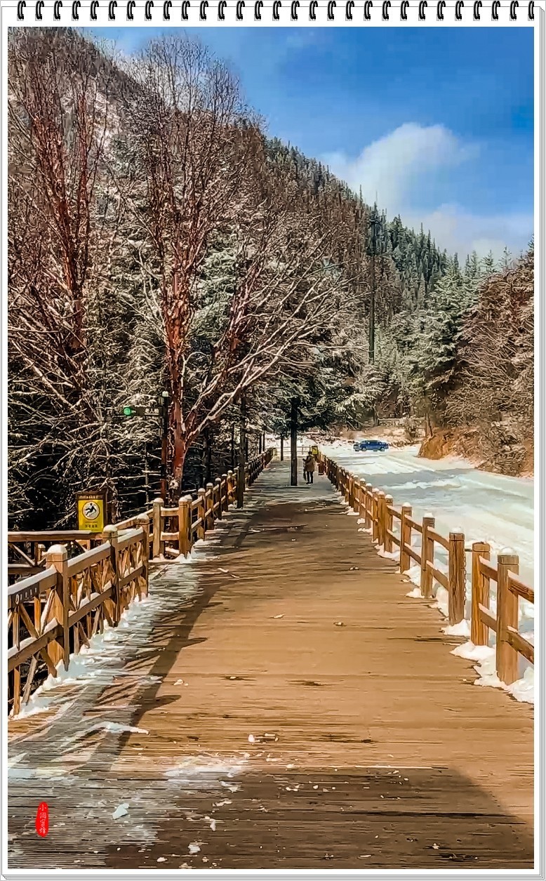 2023年九寨沟抓拍集锦-102