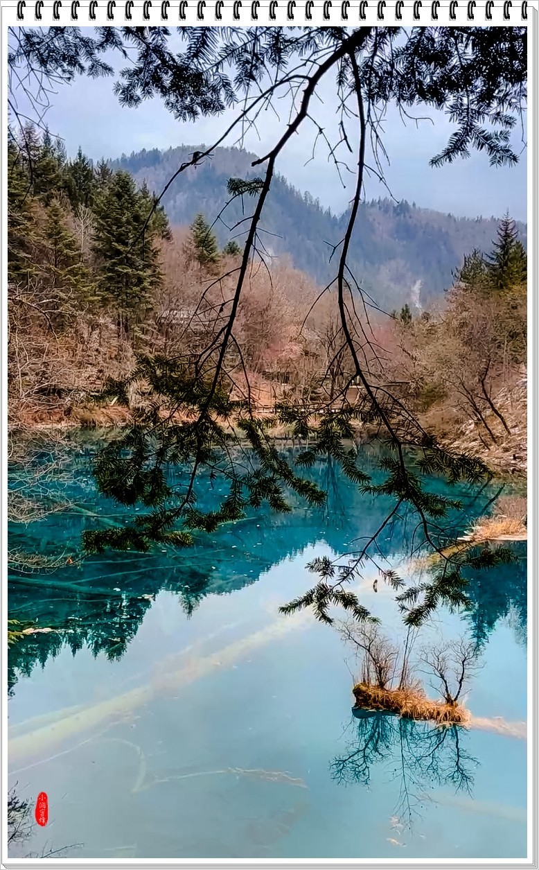 2023年九寨沟抓拍集锦-102