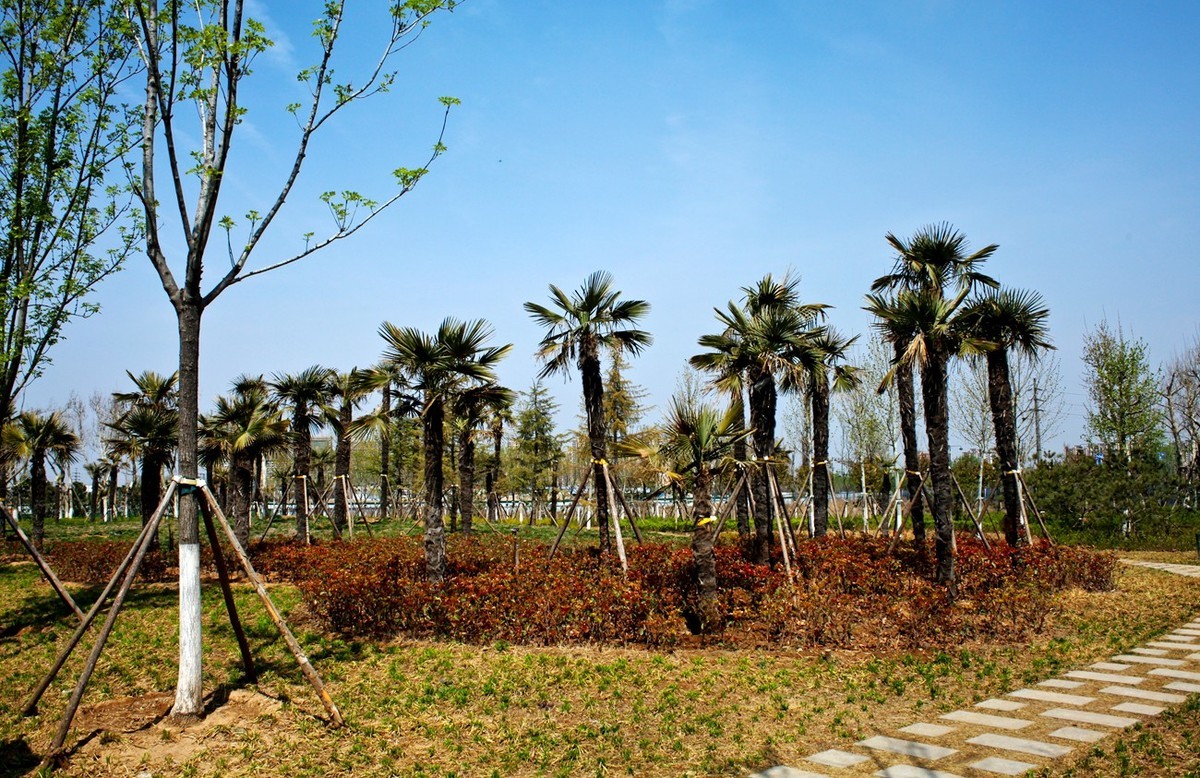 沧海桑田——钢城的变迁 （二）