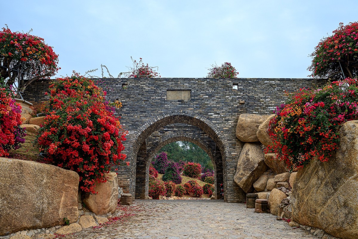 广州 · 花都 · 马岭观花植物园