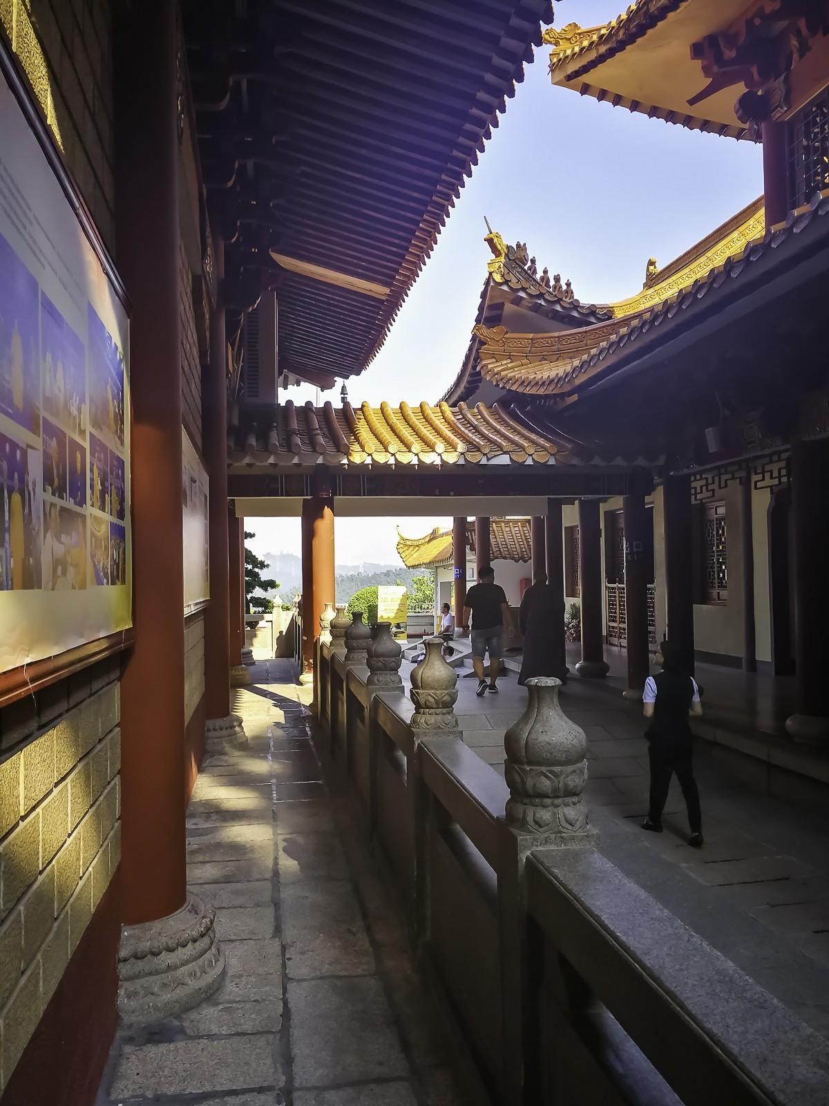 深圳弘法寺 ~ 掠影-中关村在线摄影论坛