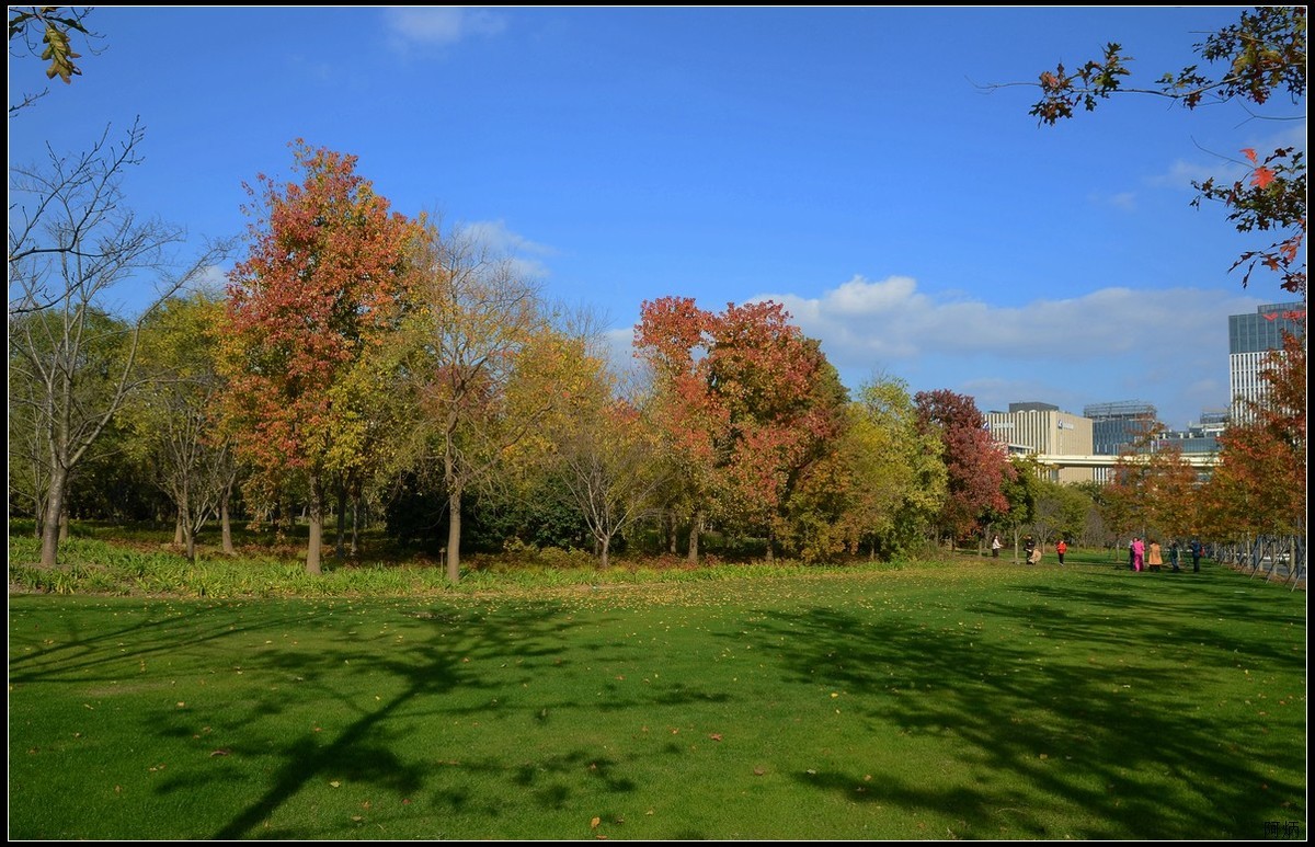 上海世博文化公园