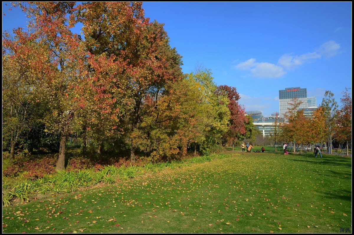 上海世博文化公园