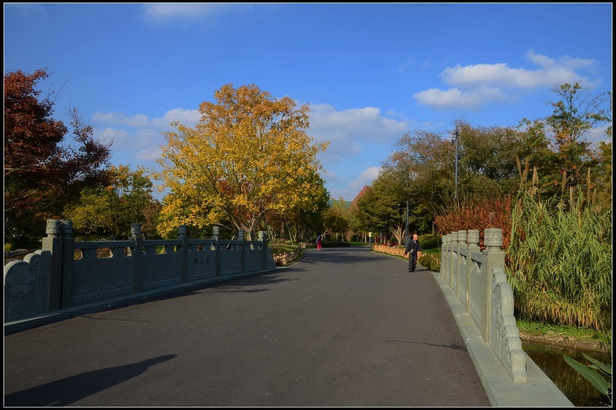 上海世博文化公园