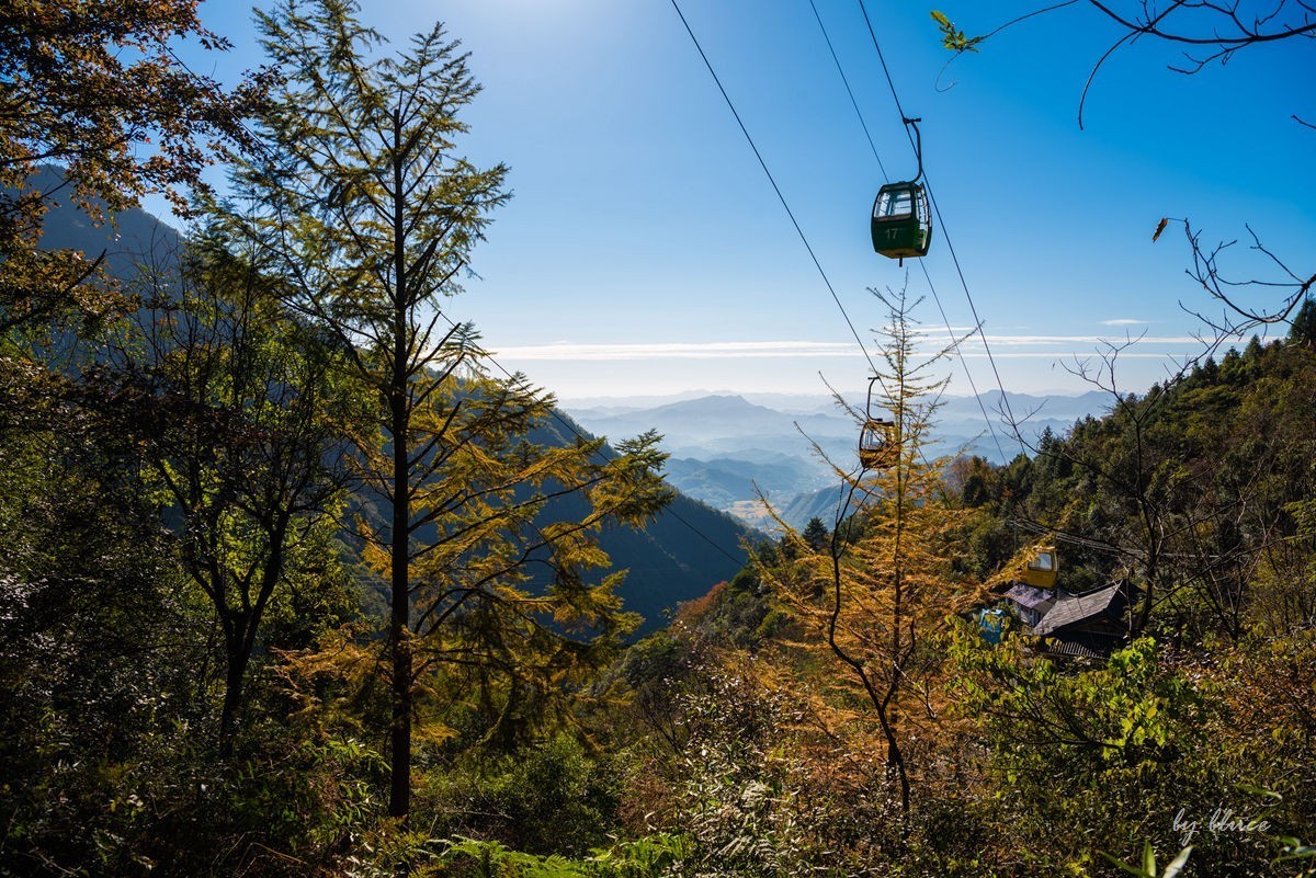 秋游天目山（四）