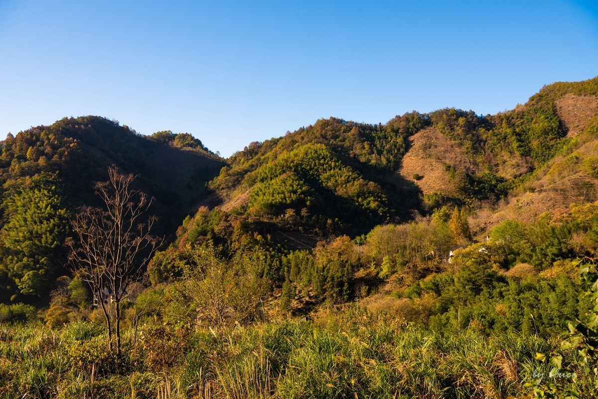 秋游天目山（四）