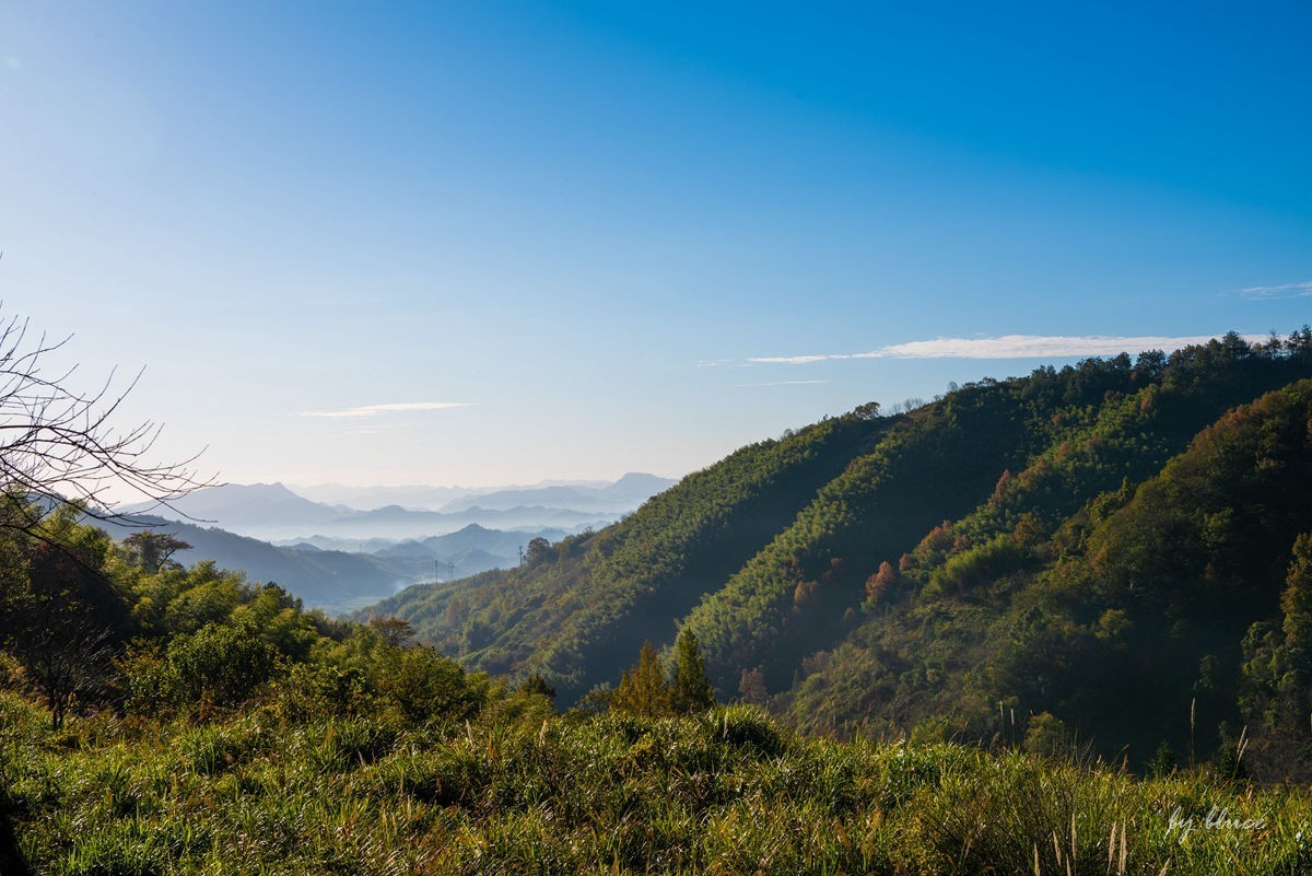 秋游天目山（四）