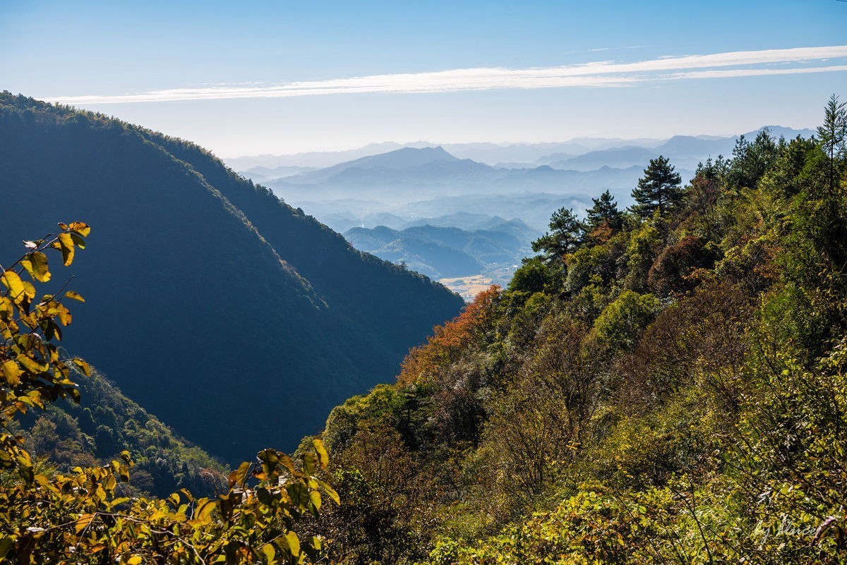 秋游天目山（四）