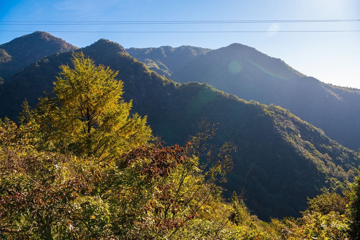 秋游天目山（四）