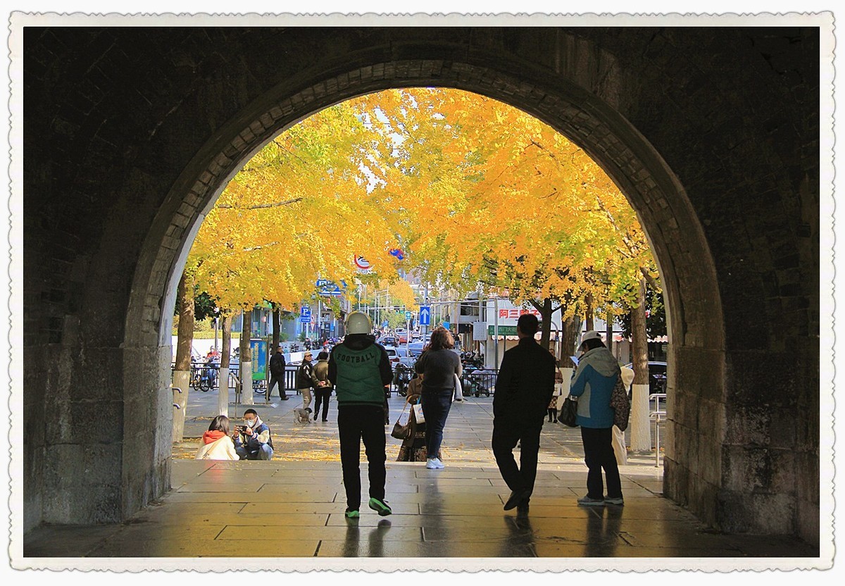 深秋时节的南京