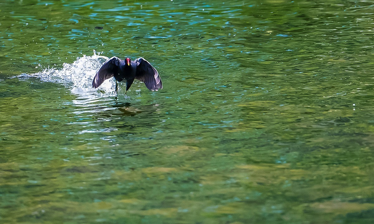 烟台黄金河随拍