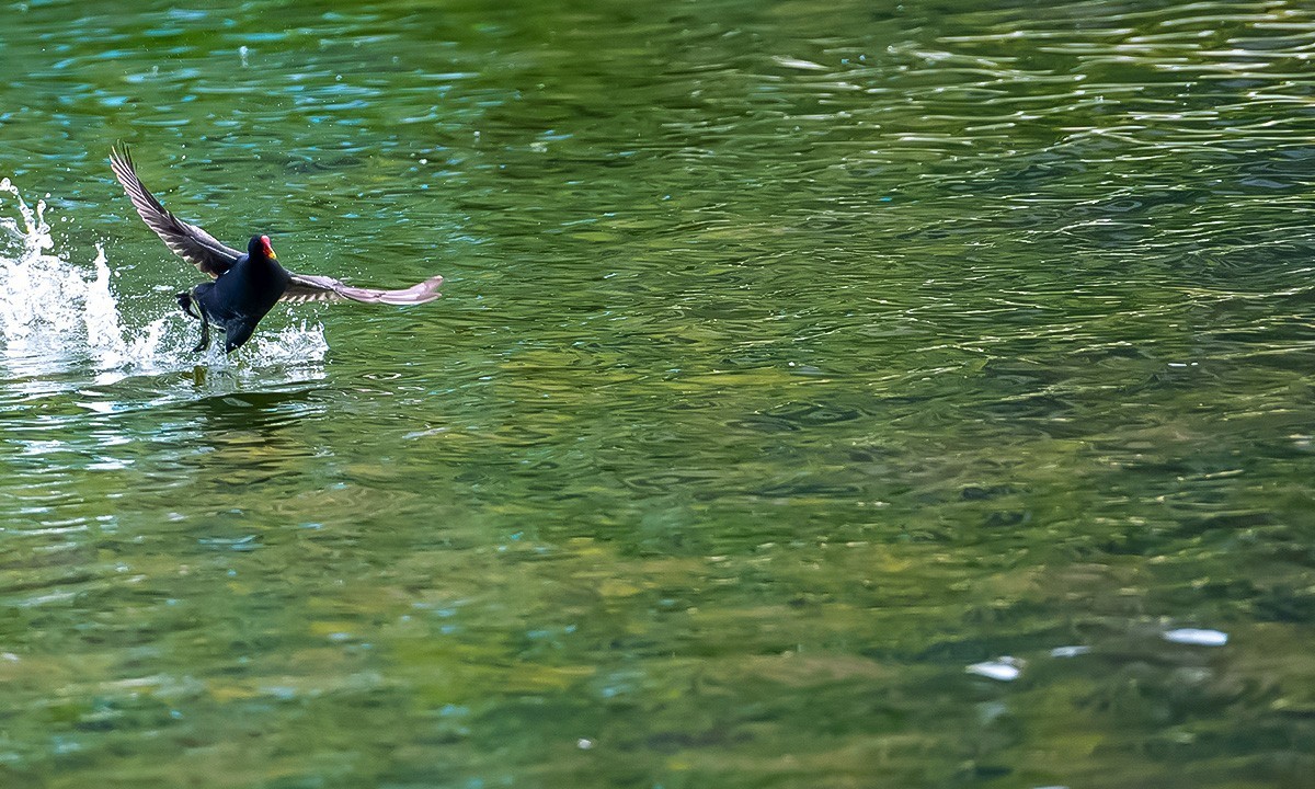 烟台黄金河随拍