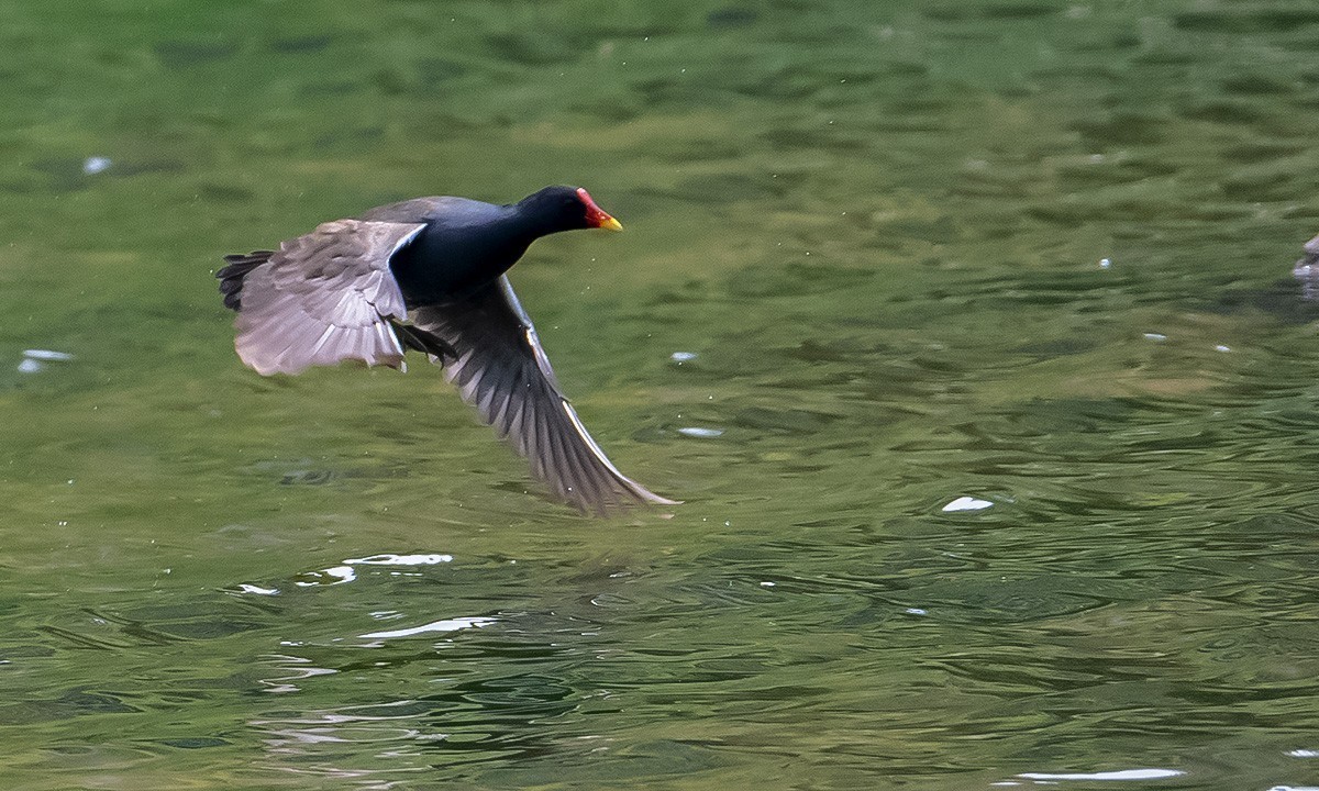 烟台黄金河随拍