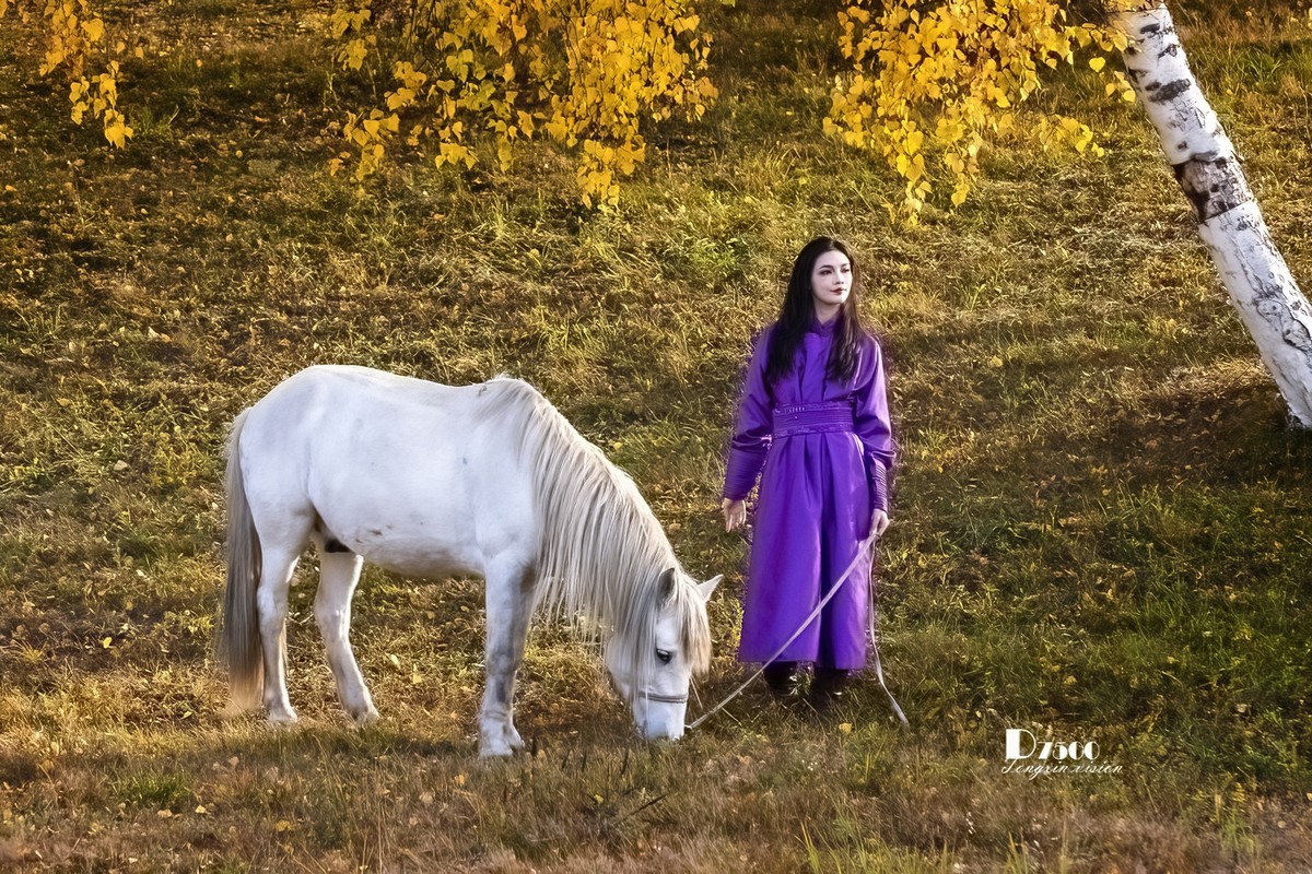 乌兰布统——温顺与柔情（1）