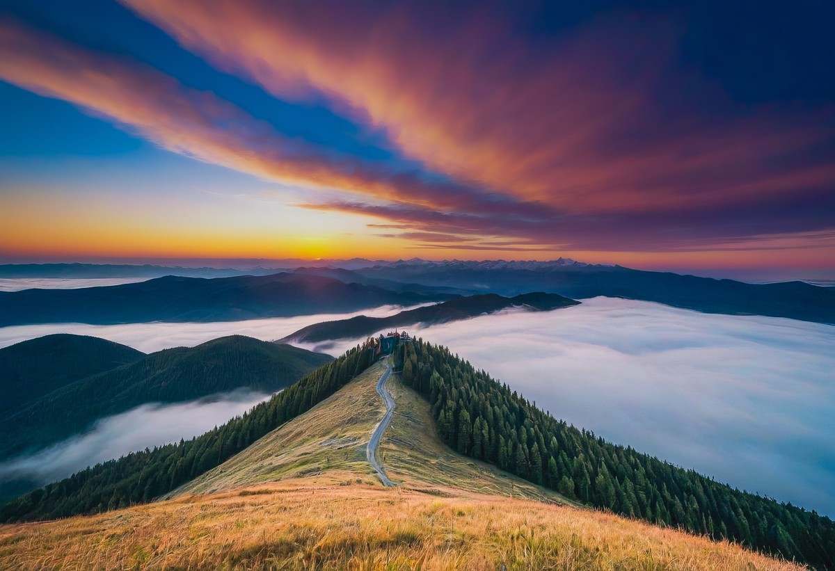 在喧嚣中寻觅宁静